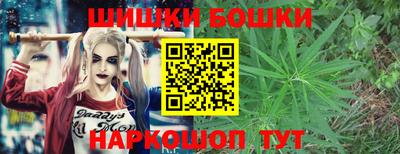 хмурый Кингисепп