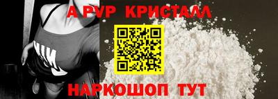 хмурый Кингисепп