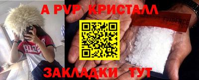 хмурый Кингисепп
