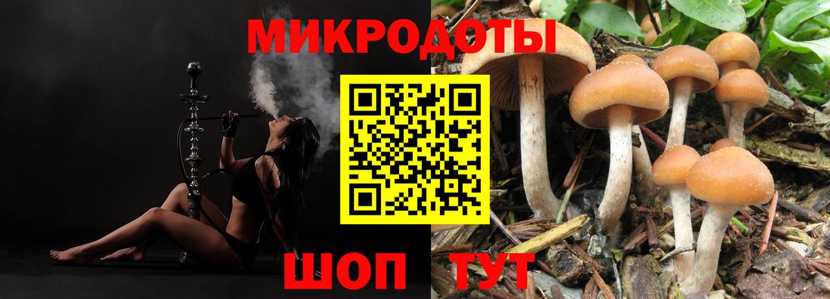 Кириши  купить  цена  Галлюциногенные грибы ЛСД  Вход с VPN  Галлюциногенные грибы мицелий 
